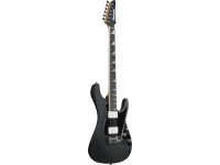 Ibanez BER10 Bernth Signature BK Ibanez BER10 Bernth Signature BK